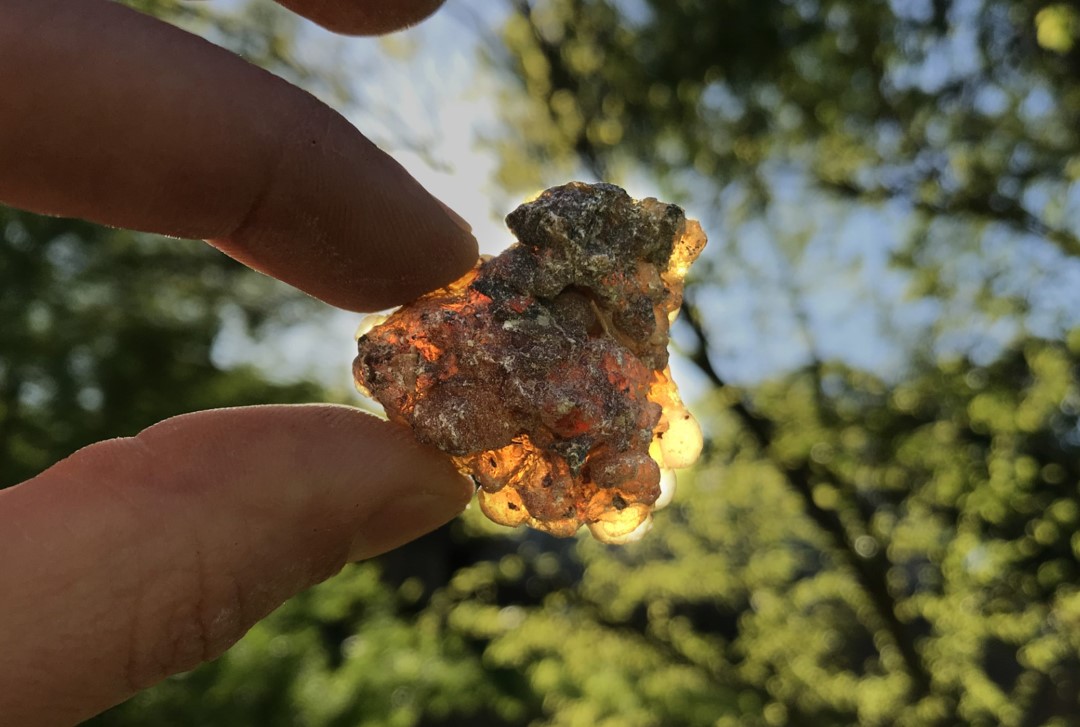 A piece of backlit resin being held up to a tree filled landscape.