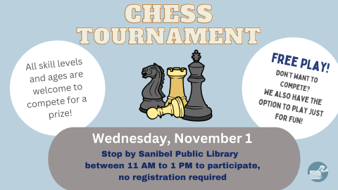 chess at Sanibel public library