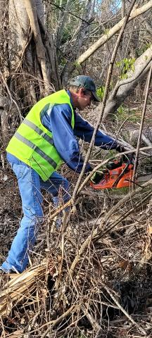 Picture of John Niesel cutting trees 