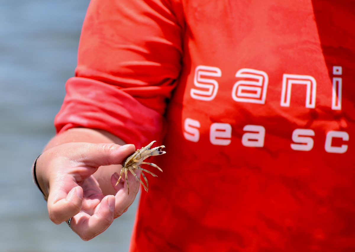 sanibel sea school