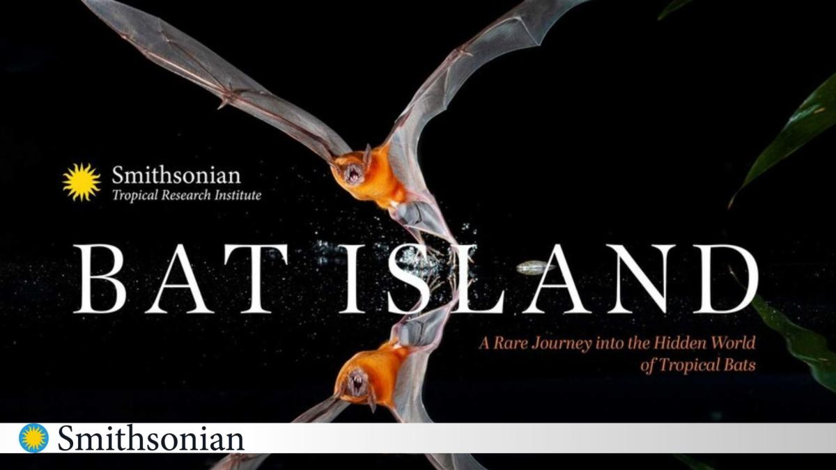 Graphic with a Bat flying mirrored with a black background. Smithsonian Tropical Research Institute: Bat Island - A Rare Journey into the Hidden World of Tropical Bats