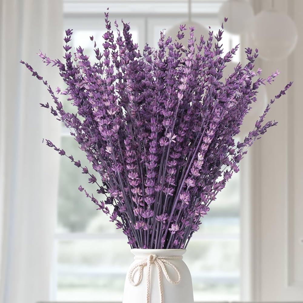 Lavender in a vase